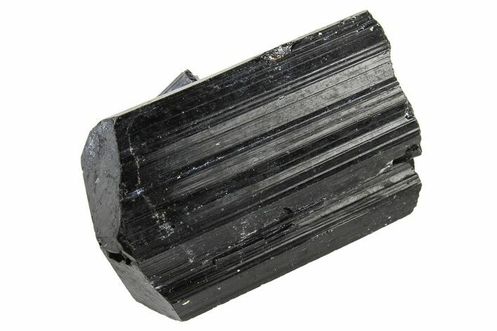 Terminated Black Tourmaline (Schorl) Crystal - Madagascar #295026